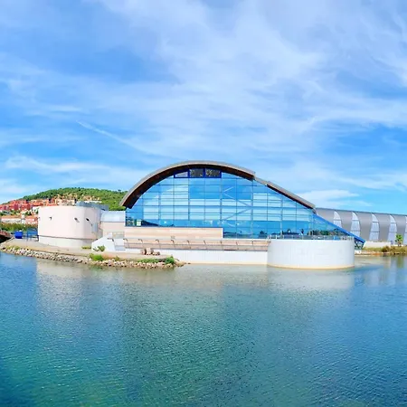 아파트 Spacieux Avec Piscine, Parking Et Animaux Admis A 250m De La - Fr-1-338-379 세테